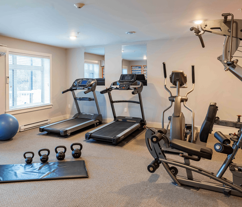 A home gym with a treadmill, exercise bike, and weights.