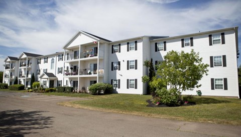 A white apartment building with a tree in front.