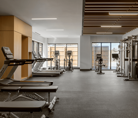 A gym with treadmills, elliptical machines, and other exercise equipment.