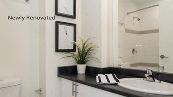 266 Bronson Avenue Studio-1 Bed Apartment for Rent - Photo Gallery 3