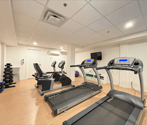 A gym with treadmills and exercise equipment.