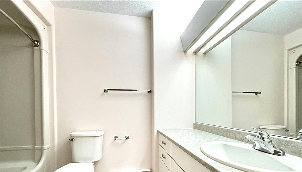 A white toilet sits next to a sink in a bathroom.