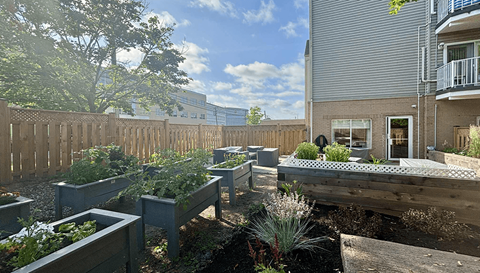 A sunny day in a backyard with a wooden fence and raised garden beds.