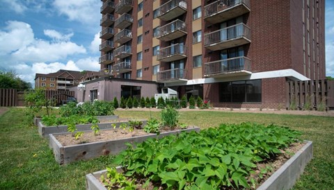 a community garden in front of an apartment building