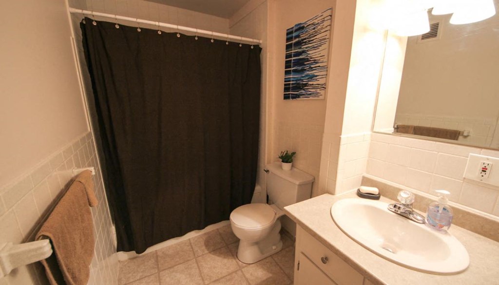 a bathroom with a sink toilet and a shower curtain