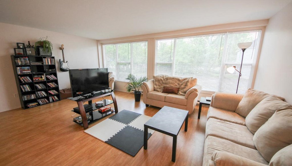 a living room with a couch and a television