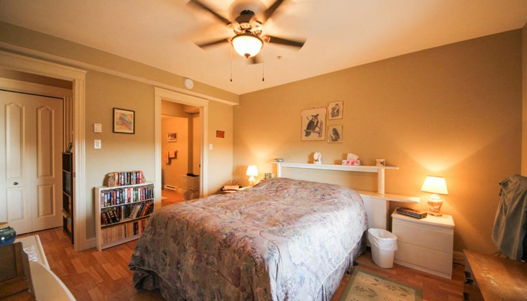 A bedroom with a bed, a ceiling fan, and a bookshelf.
