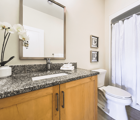 A bathroom with a sink, mirror, toilet, and a vase of flowers.