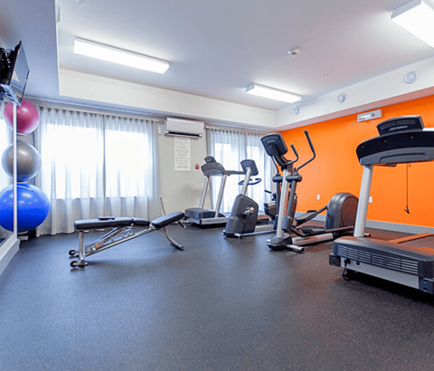 A gym with a variety of equipment including a treadmill, exercise bike, and rowing machine.