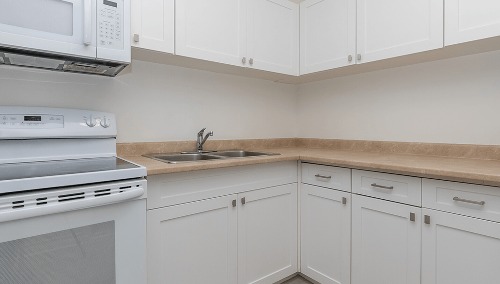 Christie Point Kitchen Closeup