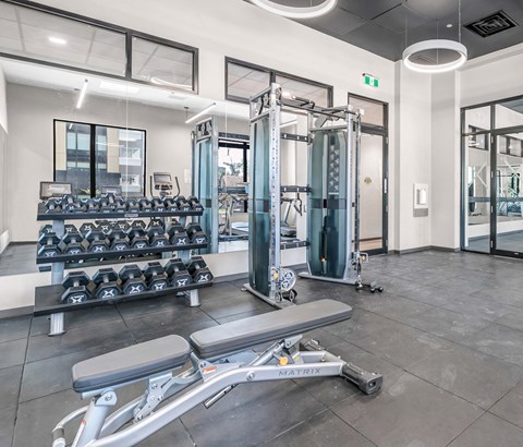 A gym with a variety of equipment including dumbbells, weight plates, and a leg press machine.