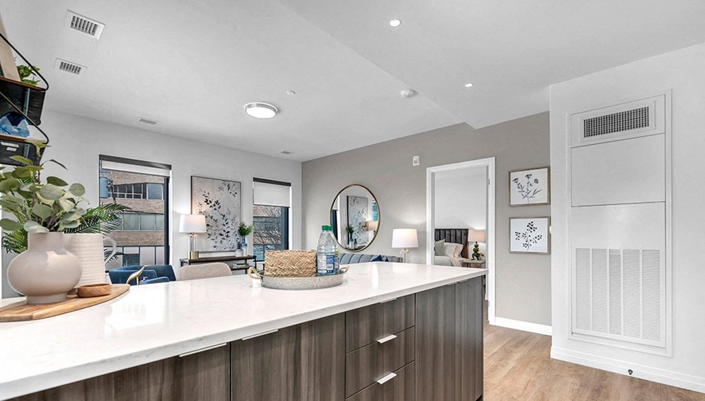 Civic 66 Kitchen With View of Living Room