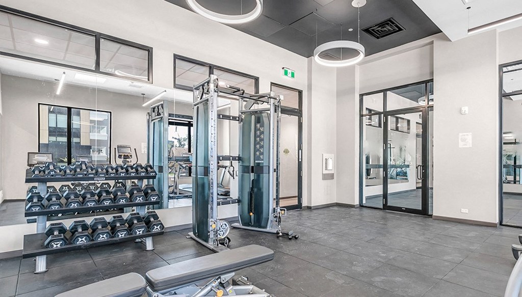 the gym at the monarch luxury apartments in des plaines