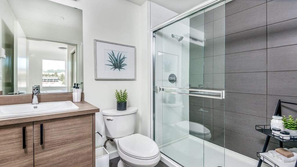 Crossing at Belmont Standup Shower