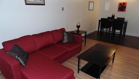A red couch with a black pillow sits in a living room.