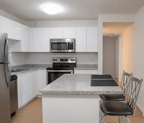 A kitchen with a granite countertop and stainless steel appliances.