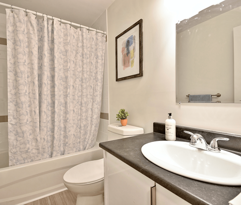 A bathroom with a toilet, sink, and shower curtain.