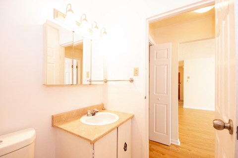 a bathroom with a sink and a mirror