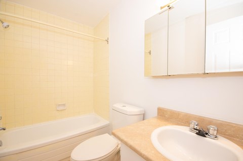 a bathroom with a sink toilet and a bath tub