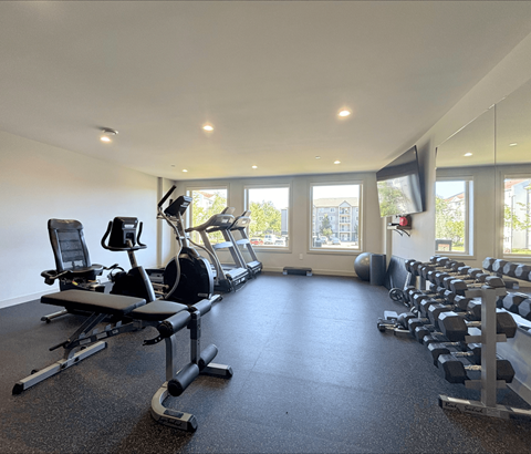 A spacious gym with a variety of equipment including treadmills, stationary bikes, and weight machines.