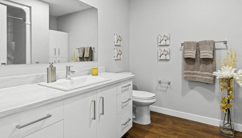 a bathroom with a sink toilet and a mirror