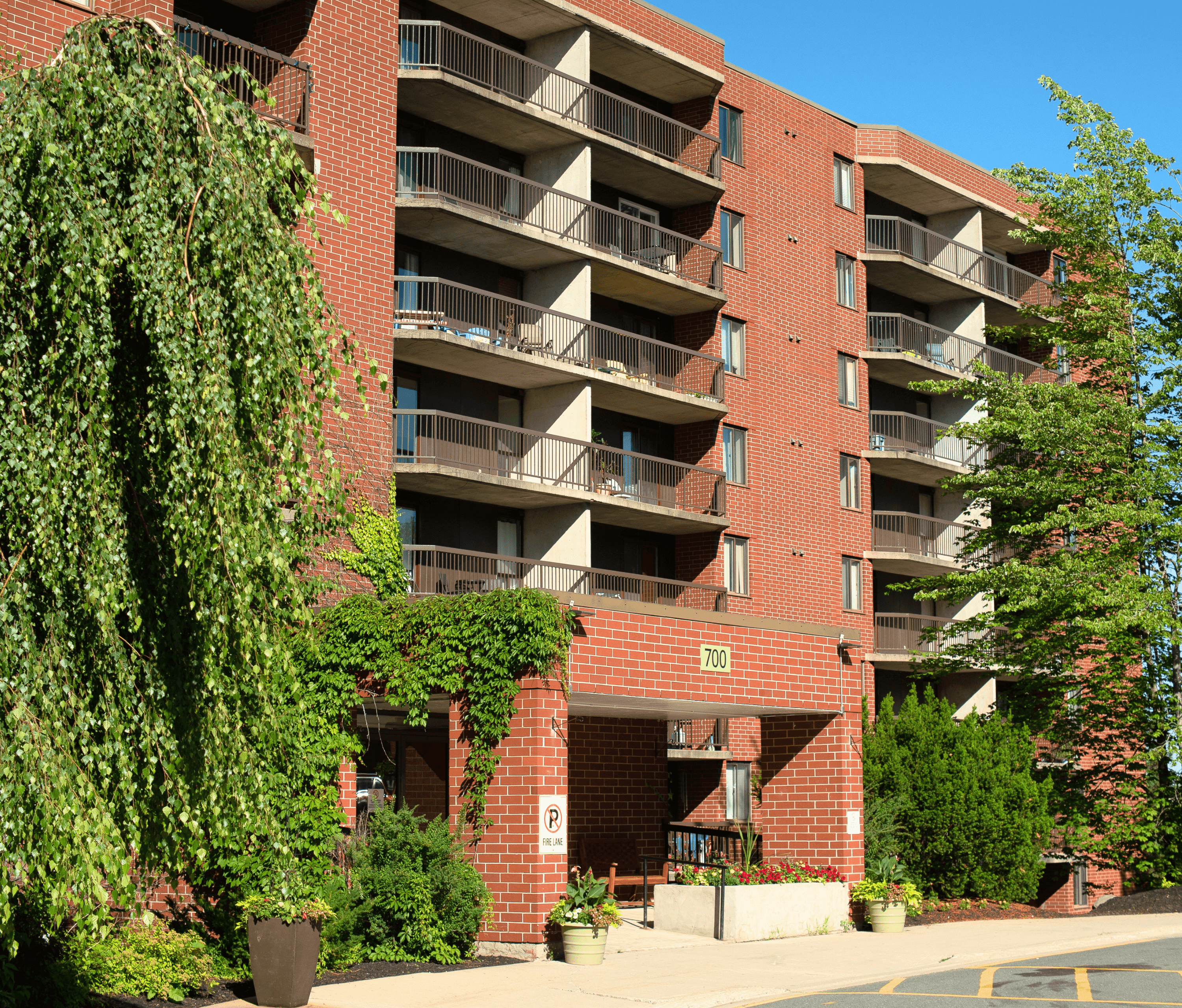 1 bedroom apartment - Forest Hill Towers, Fredericton - unit 203 5