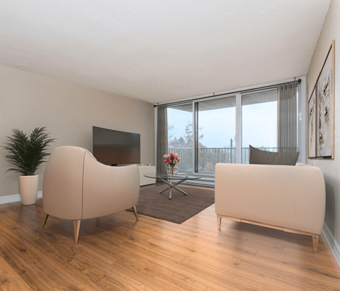 A living room with a television, two couches, and a plant.