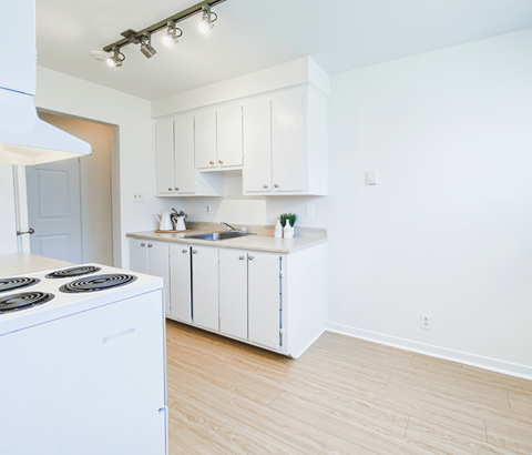 A white kitchen with a stove and cabinets.