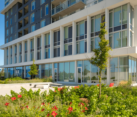 A modern building with a lot of windows and some plants in front.