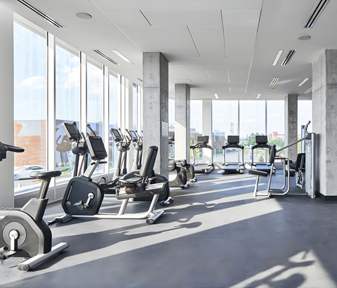 A gym with treadmills, elliptical machines, and weights.