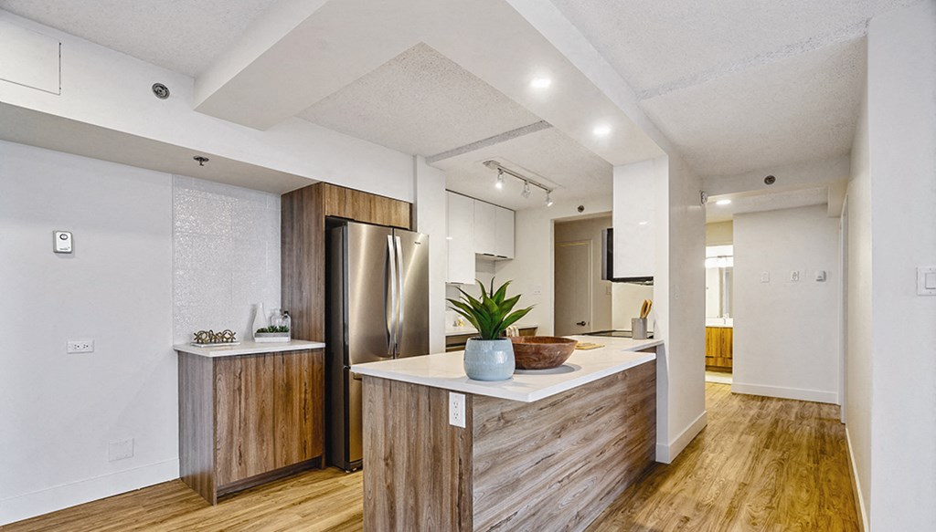 Grid 5 Renvoated Kitchen & Living Space