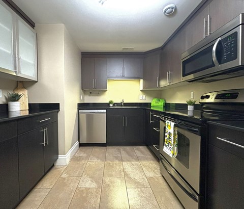 A kitchen with black cabinets and appliances.