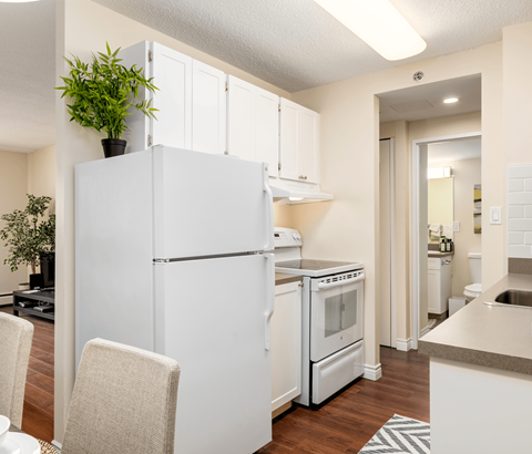 A white refrigerator with a plant on top sits in a kitchen.