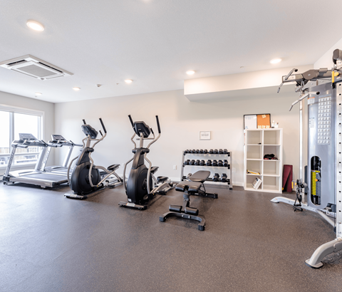 A spacious gym with a variety of equipment including treadmills, stationary bikes, and weight machines.
