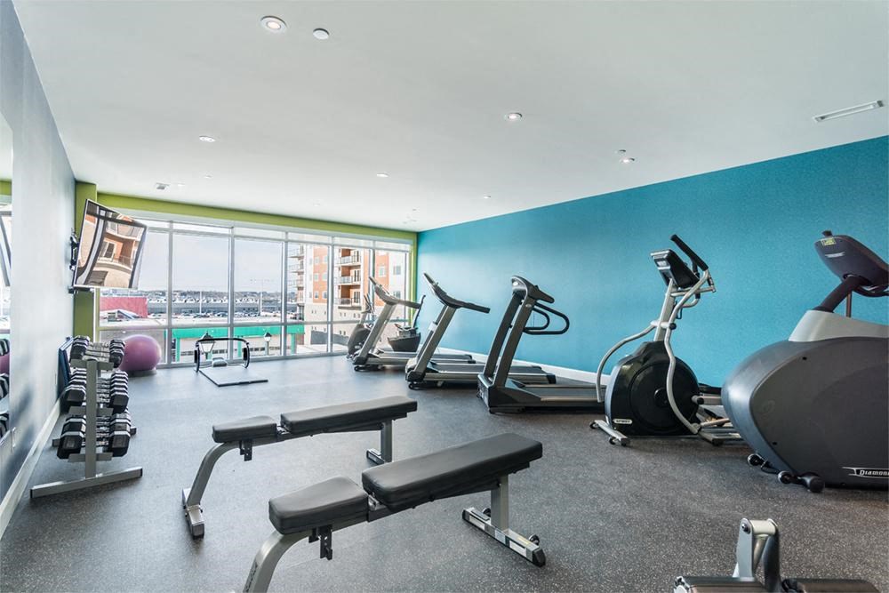 Place Horizon Gym With Equipment