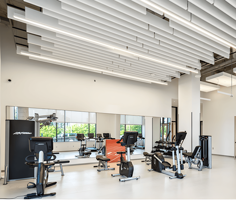 Luma gym