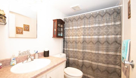 A bathroom with a sink, toilet, and shower curtain.