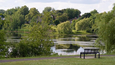 A bench sits on a grassy area next to a lake.