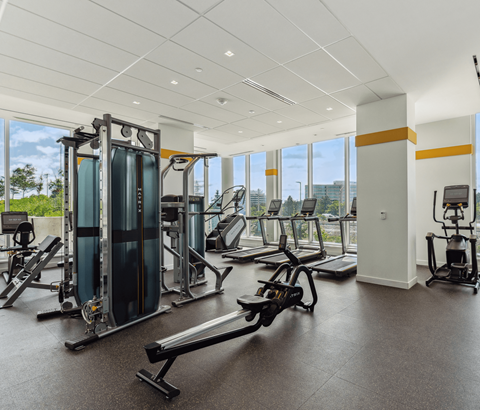 A gym with a variety of equipment including treadmills, weight machines, and benches.