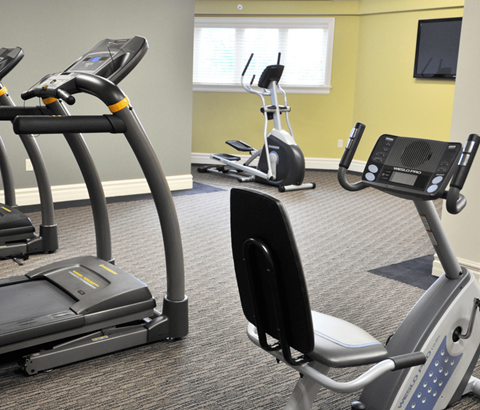 A gym with treadmills, elliptical machines, and exercise bikes.