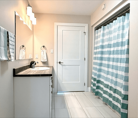 A bathroom with a sink, mirror, and shower curtain.