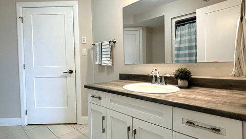 a bathroom with a sink and a mirror