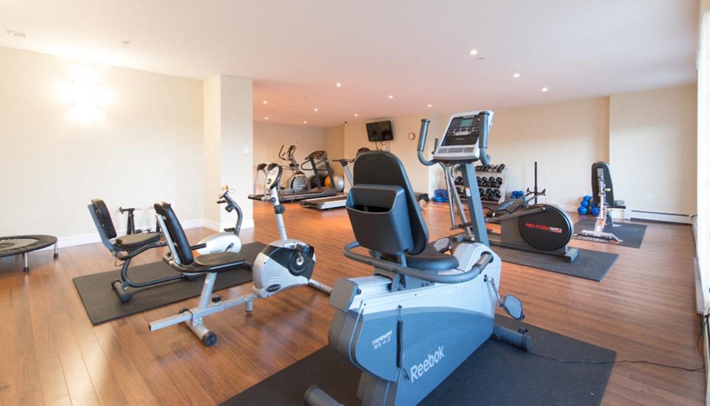 A home gym with a variety of equipment including a treadmill, stationary bike, and weights.