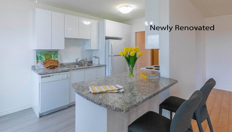 A newly renovated kitchen with a granite countertop and modern appliances.