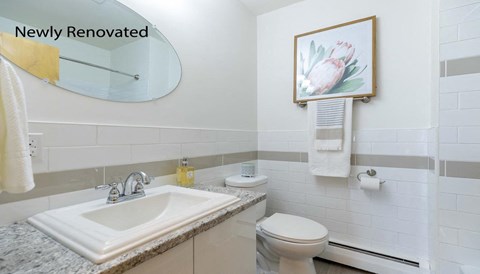 A newly renovated bathroom with a sink, toilet, and a painting on the wall.