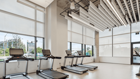 Luma Fitness Studio With Gym Equipment