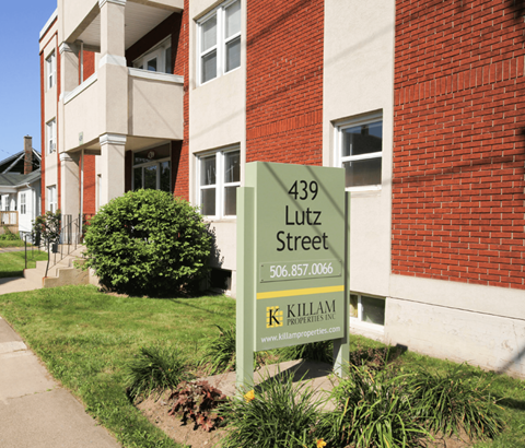 A green street sign for 439 Lutz Street stands in front of a brick building.