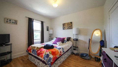 A bedroom with a bed, a dresser, and a mirror.