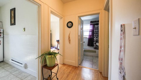 A room with a white door and a plant on a table.