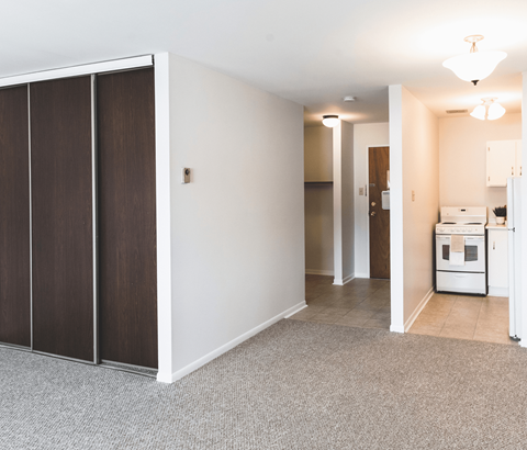 A room with a white wall and a brown wardrobe.